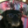 jgrl_
