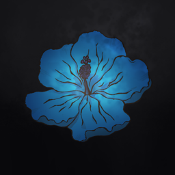 hibiskuz