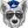 RR_s1lvrfoxx
