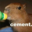 CapybaraAteCement