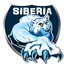SiberiaTeam