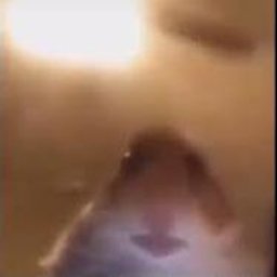 smakuuuuu