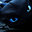 Nightfall1337