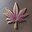 THC Official