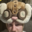 JERRYl3