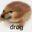 drog