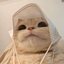 ittb-