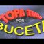 Topa Tudo Por Buceta