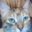 Indy Fan Club (was deleted at: 2019-12-27T15:01:09.3000962Z)