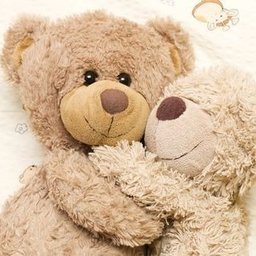 krotkofalowka_#