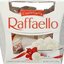 Raffello's Team