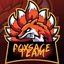 FoxSage Team