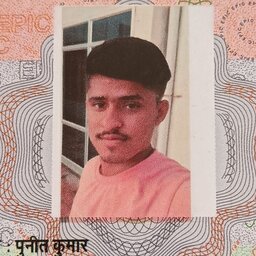 puneerswami