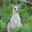 SYNBIOZA (was deleted at: 2020-10-23T15:22:34.8480176Z)