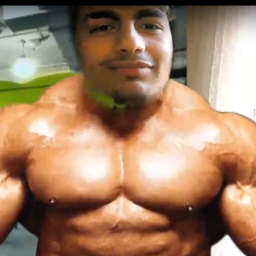 W1splesh