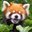 os panda vermeio