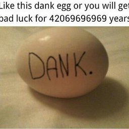 eggsdee