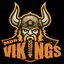 Mdr Vikings