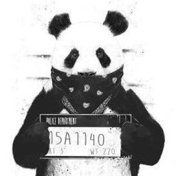 The Dab Panda