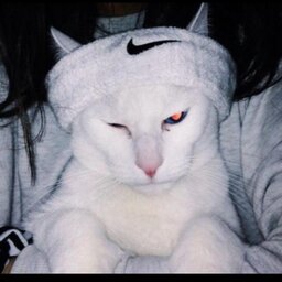 João Victor Costa dos Santos