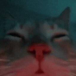 lynrax