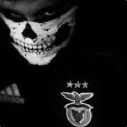 pdrKING