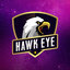 Hawk Eye Official