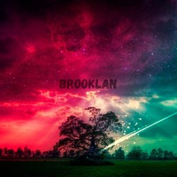 BrookLAN