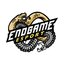 Endgame Esport