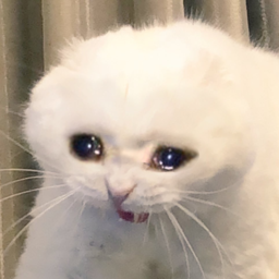 MiK_