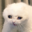 MiK_