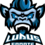 Ludus Esports