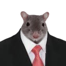 Joipok