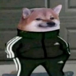 LukettaYT ¹