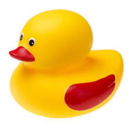 Duck_Luck#