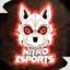 Nitro-Panthers