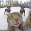 NAPIMM (was deleted at: 2023-05-01T18:44:29.9170488Z)