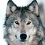 WeAreBack (was deleted at: 2025-06-29T11:58:03.6025599Z)