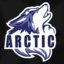 ARCTIC#1