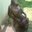 leffy0253