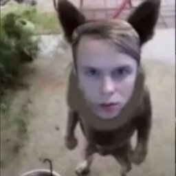 qzwek