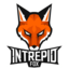 Intrepid Fox