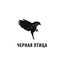 BlackBirds