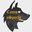Canis eSports