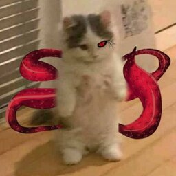 kat01