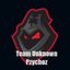 Team Unknown Pzychoz