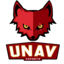 Club UNAV Esports