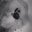 TOBAX_DEAD#