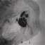 TOBAX_DEAD#