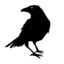 Karasuno Crows
